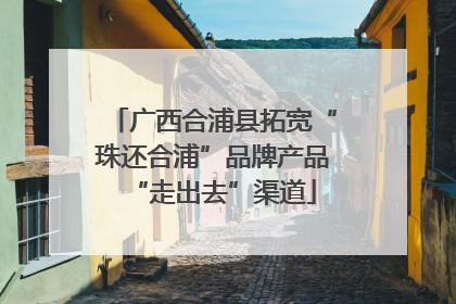 广西合浦县拓宽“珠还合浦”品牌产品“走出去”渠道
