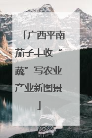 广西平南茄子丰收“蔬”写农业产业新图景