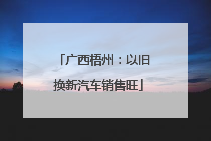 广西梧州：以旧换新汽车销售旺