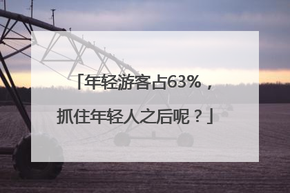 年轻游客占63%，抓住年轻人之后呢？