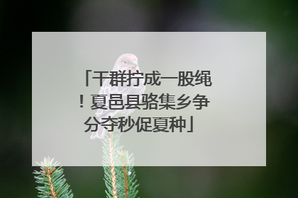 干群拧成一股绳！夏邑县骆集乡争分夺秒促夏种