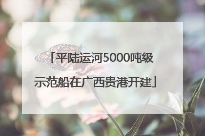 平陆运河5000吨级示范船在广西贵港开建