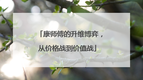 康师傅的升维博弈，从价格战到价值战