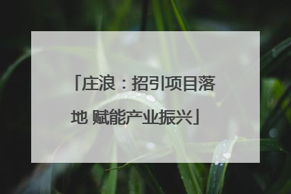 庄浪：招引项目落地 赋能产业振兴