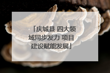 庆城县 四大领域同步发力 项目建设赋能发展