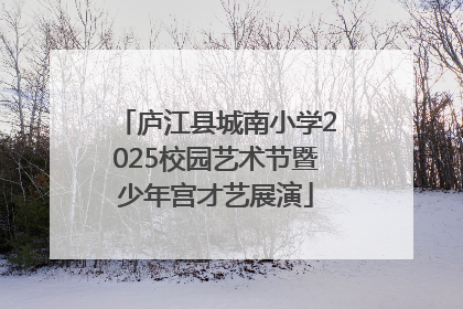 庐江县城南小学2025校园艺术节暨少年宫才艺展演