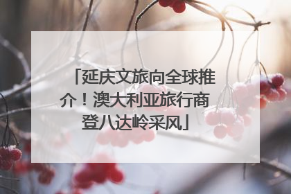 延庆文旅向全球推介！澳大利亚旅行商登八达岭采风