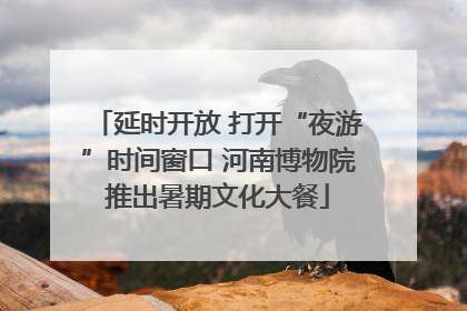 延时开放 打开“夜游”时间窗口 河南博物院推出暑期文化大餐