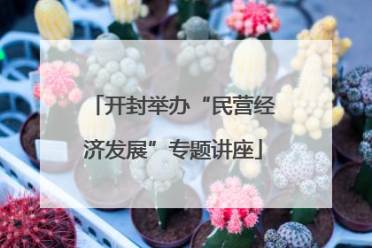开封举办“民营经济发展”专题讲座