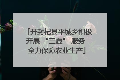 开封杞县平城乡积极开展 “三夏” 服务 全力保障农业生产
