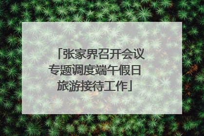 张家界召开会议专题调度端午假日旅游接待工作