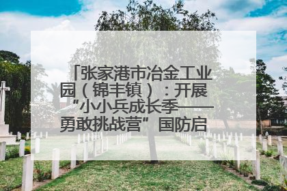张家港市冶金工业园（锦丰镇）：开展“小小兵成长季——勇敢挑战营”国防启蒙教育活动