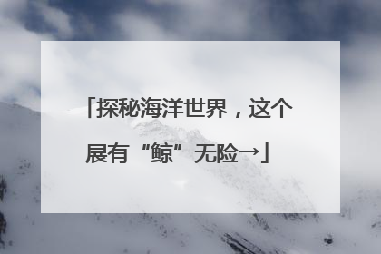 探秘海洋世界，这个展有“鲸”无险→