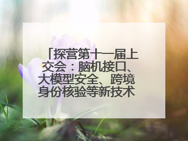 探营第十一届上交会：脑机接口、大模型安全、跨境身份核验等新技术将悉数亮相