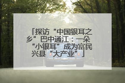 探访“中国银耳之乡”巴中通江：一朵“小银耳”成为富民兴县“大产业”