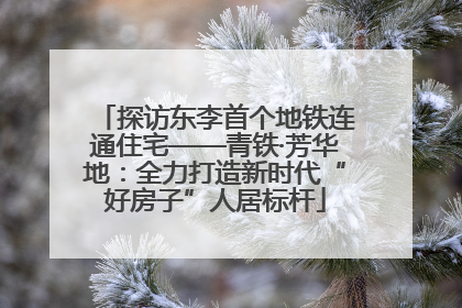 探访东李首个地铁连通住宅——青铁·芳华地：全力打造新时代“好房子”人居标杆