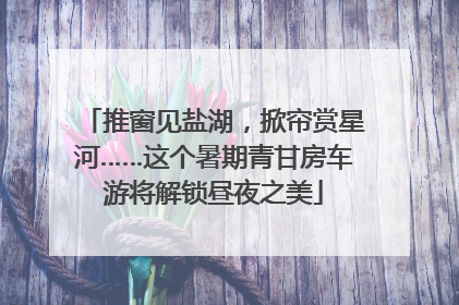 推窗见盐湖，掀帘赏星河……这个暑期青甘房车游将解锁昼夜之美