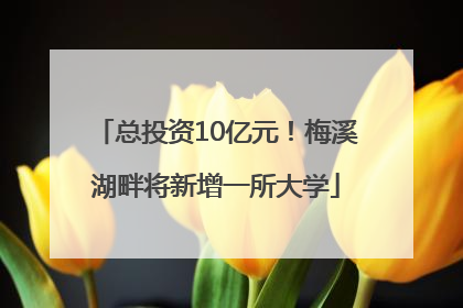 总投资10亿元！梅溪湖畔将新增一所大学