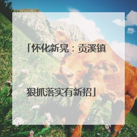怀化新晃：贡溪镇狠抓落实有新招