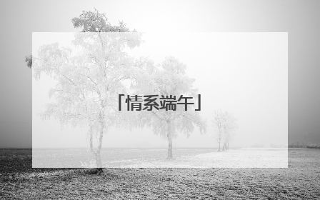 情系端午
