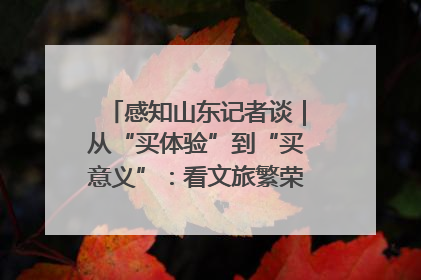 感知山东记者谈｜从“买体验”到“买意义”：看文旅繁荣背后的幸福新定义