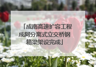 成南高速扩容工程成阿分离式立交桥钢箱梁架设完成