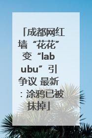 成都网红墙“花花”变“labubu”引争议 最新：涂鸦已被抹掉