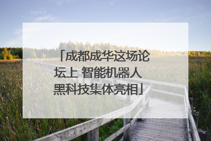 成都成华这场论坛上 智能机器人黑科技集体亮相
