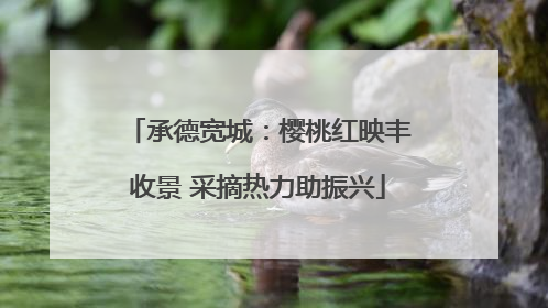 承德宽城：樱桃红映丰收景 采摘热力助振兴