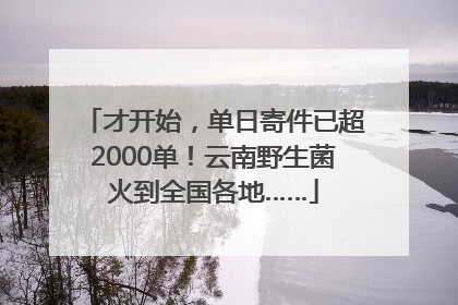 才开始，单日寄件已超2000单！云南野生菌火到全国各地……