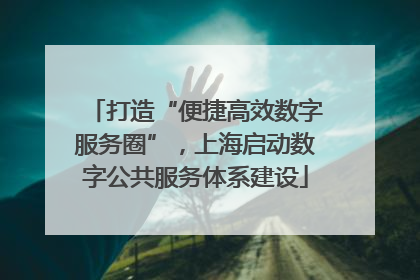 打造“便捷高效数字服务圈”，上海启动数字公共服务体系建设