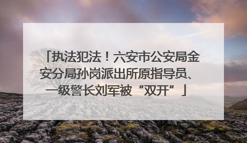 执法犯法！六安市公安局金安分局孙岗派出所原指导员、一级警长刘军被“双开”