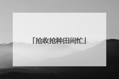 抢收抢种田间忙