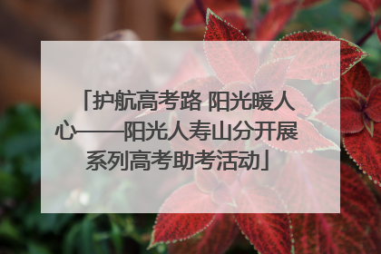 护航高考路 阳光暖人心——阳光人寿山分开展系列高考助考活动