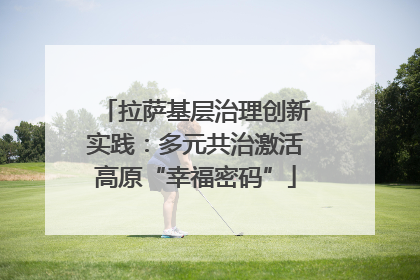 拉萨基层治理创新实践：多元共治激活高原“幸福密码”