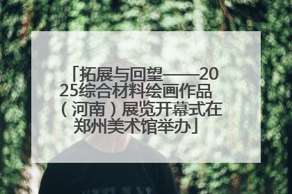 拓展与回望——2025综合材料绘画作品（河南）展览开幕式在郑州美术馆举办