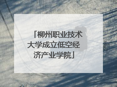 柳州职业技术大学成立低空经济产业学院