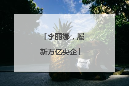 李丽娜，履新万亿央企