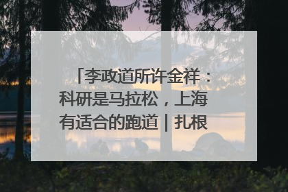 李政道所许金祥：科研是马拉松，上海有适合的跑道｜扎根上海，从0到1