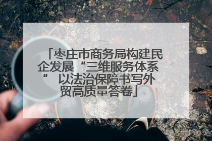 枣庄市商务局构建民企发展“三维服务体系” 以法治保障书写外贸高质量答卷
