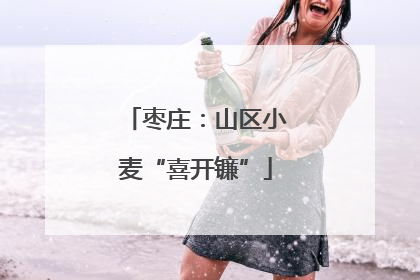 枣庄：山区小麦“喜开镰”
