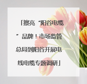 擦亮“阳谷电缆”品牌！市场监管总局到阳谷开展电线电缆专题调研