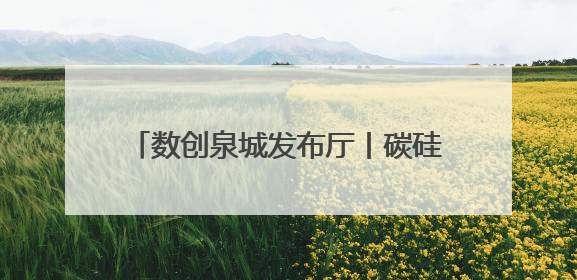 数创泉城发布厅丨碳硅基智能融合——生命科学与人工智能的边界探索