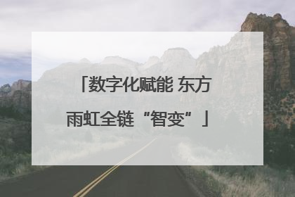 数字化赋能 东方雨虹全链“智变”