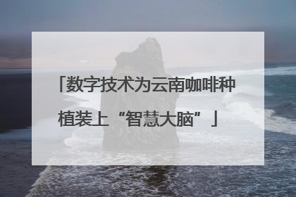 数字技术为云南咖啡种植装上“智慧大脑”