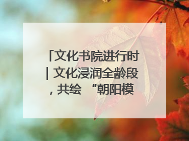 文化书院进行时｜文化浸润全龄段，共绘 “朝阳模式” 新图景！