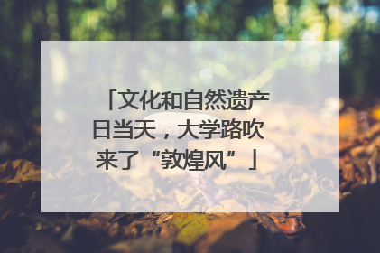 文化和自然遗产日当天，大学路吹来了“敦煌风”