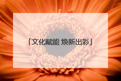 文化赋能 焕新出彩