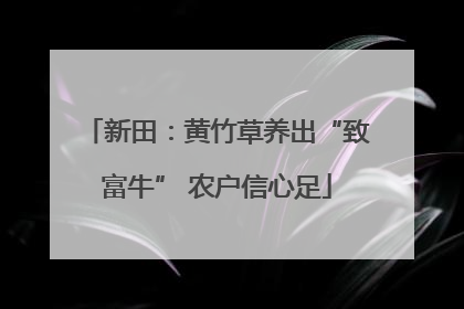 新田：黄竹草养出“致富牛” 农户信心足