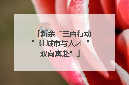 新余“三百行动”让城市与人才“双向奔赴”
